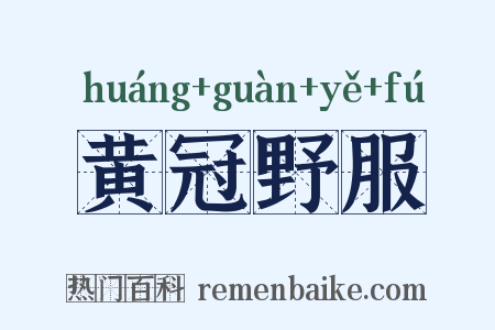 黄冠野服是什么意思的图片